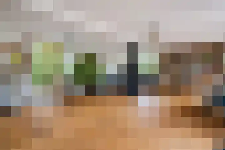 Essenpark 3 Leiderdorp thumbnail 20