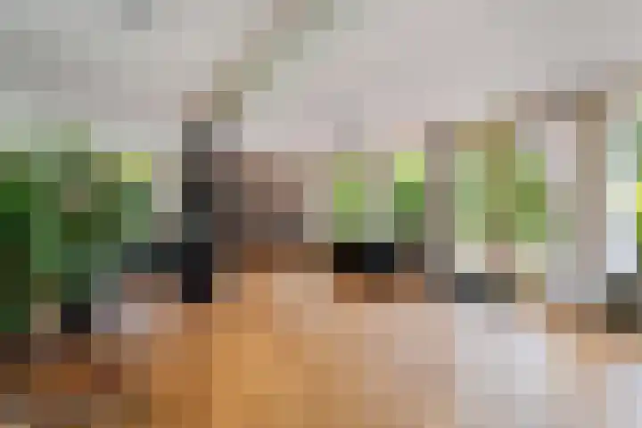 Essenpark 3 Leiderdorp thumbnail 21