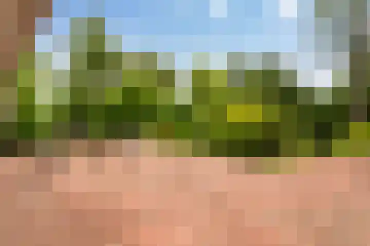 Essenpark 3 Leiderdorp thumbnail 39