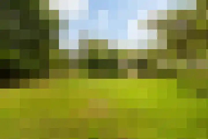 Essenpark 3 Leiderdorp thumbnail 4