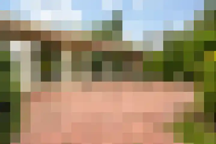 Essenpark 3 Leiderdorp thumbnail 40