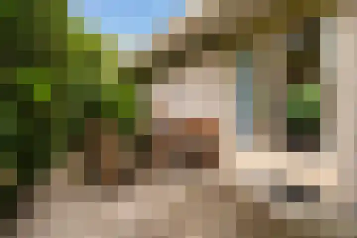 Essenpark 3 Leiderdorp thumbnail 42