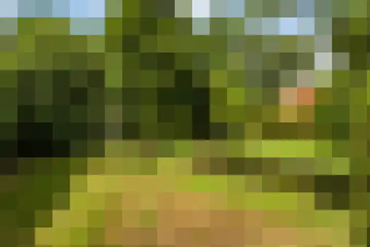 Essenpark 3 Leiderdorp thumbnail 43