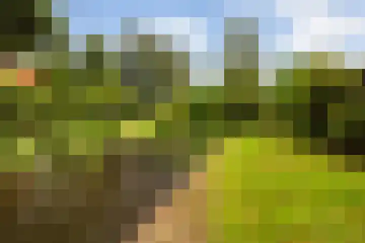 Essenpark 3 Leiderdorp thumbnail 44