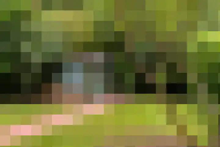 Essenpark 3 Leiderdorp thumbnail 45