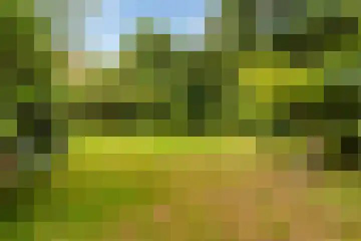 Essenpark 3 Leiderdorp thumbnail 46