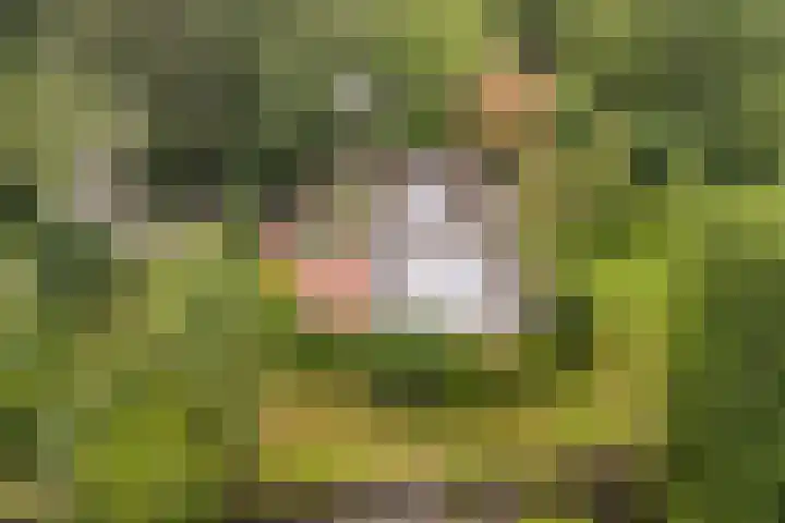 Essenpark 3 Leiderdorp thumbnail 48