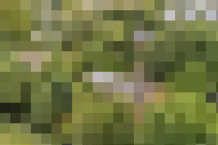 Essenpark 3 Leiderdorp thumbnail 49