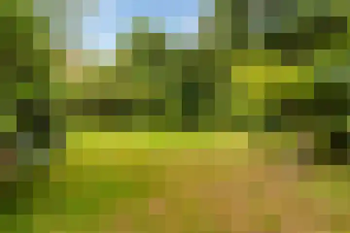 Essenpark 3 Leiderdorp thumbnail 5