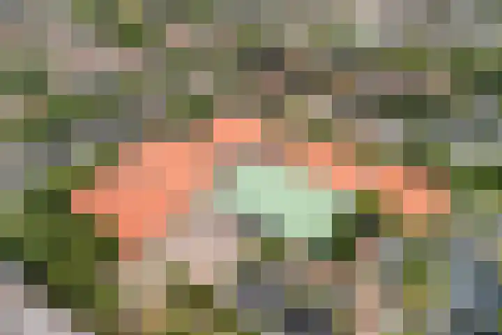 Essenpark 3 Leiderdorp thumbnail 50