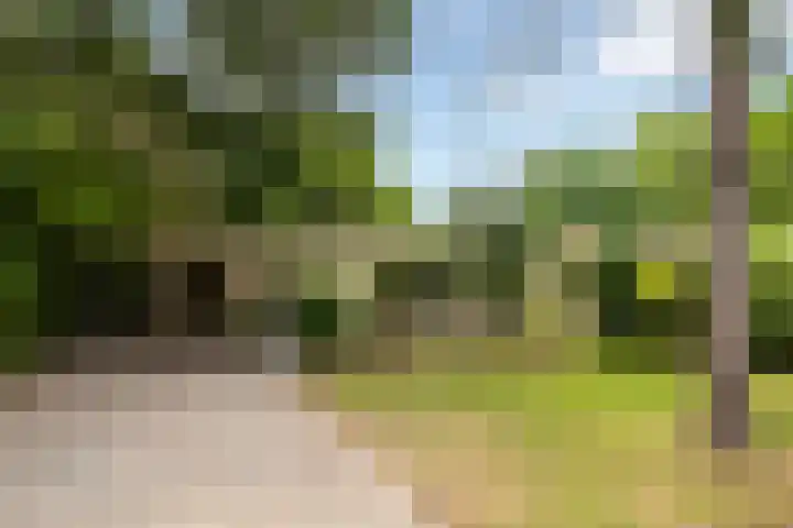Essenpark 3 Leiderdorp thumbnail 6