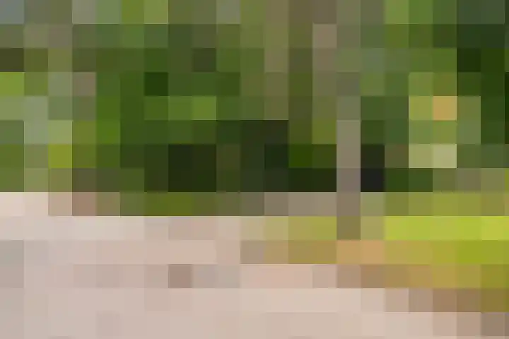 Essenpark 3 Leiderdorp thumbnail 7