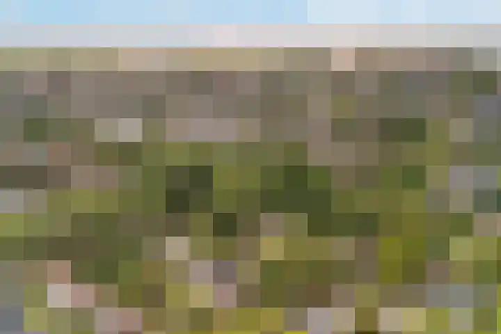 Essenpark 3 Leiderdorp thumbnail 9