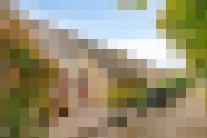 Essenpas 38 Zevenaar thumbnail 25
