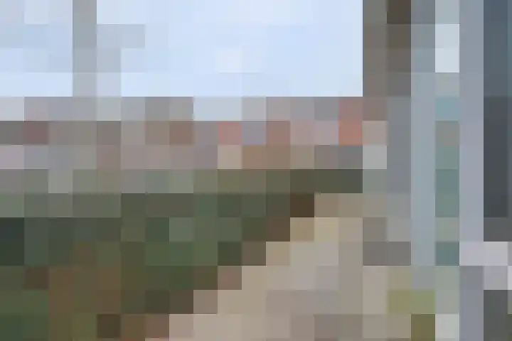 Essenpassage 1 Gendt thumbnail 30