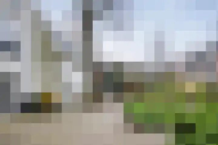 Essenstraat 3 Haarlem thumbnail 36
