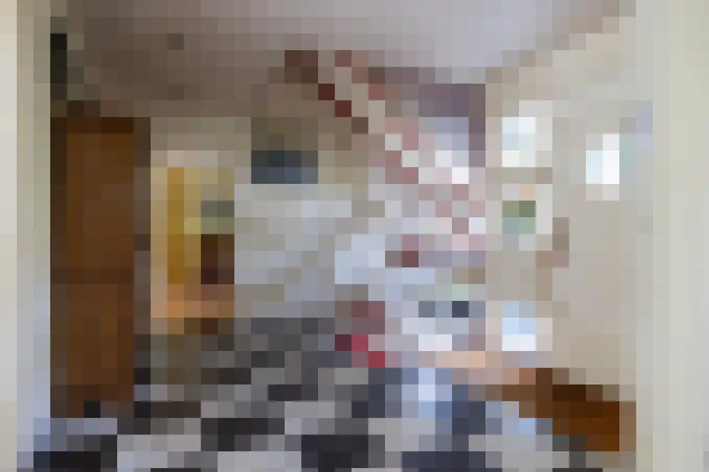 Essenweg 26 Rotterdam thumbnail 23