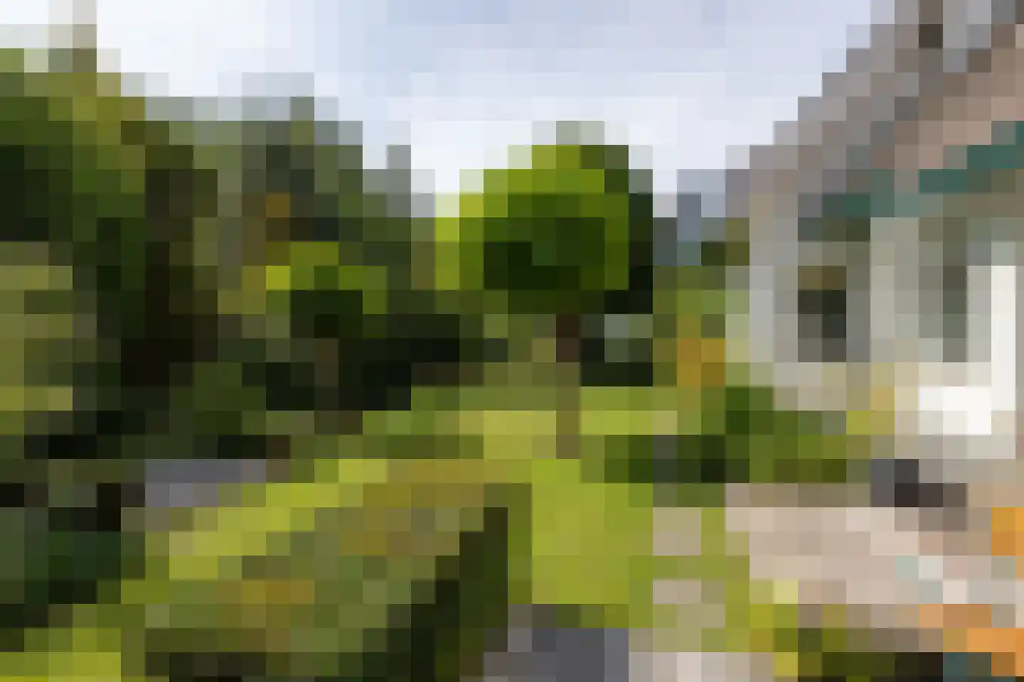 Essenweg 26 Rotterdam thumbnail 55