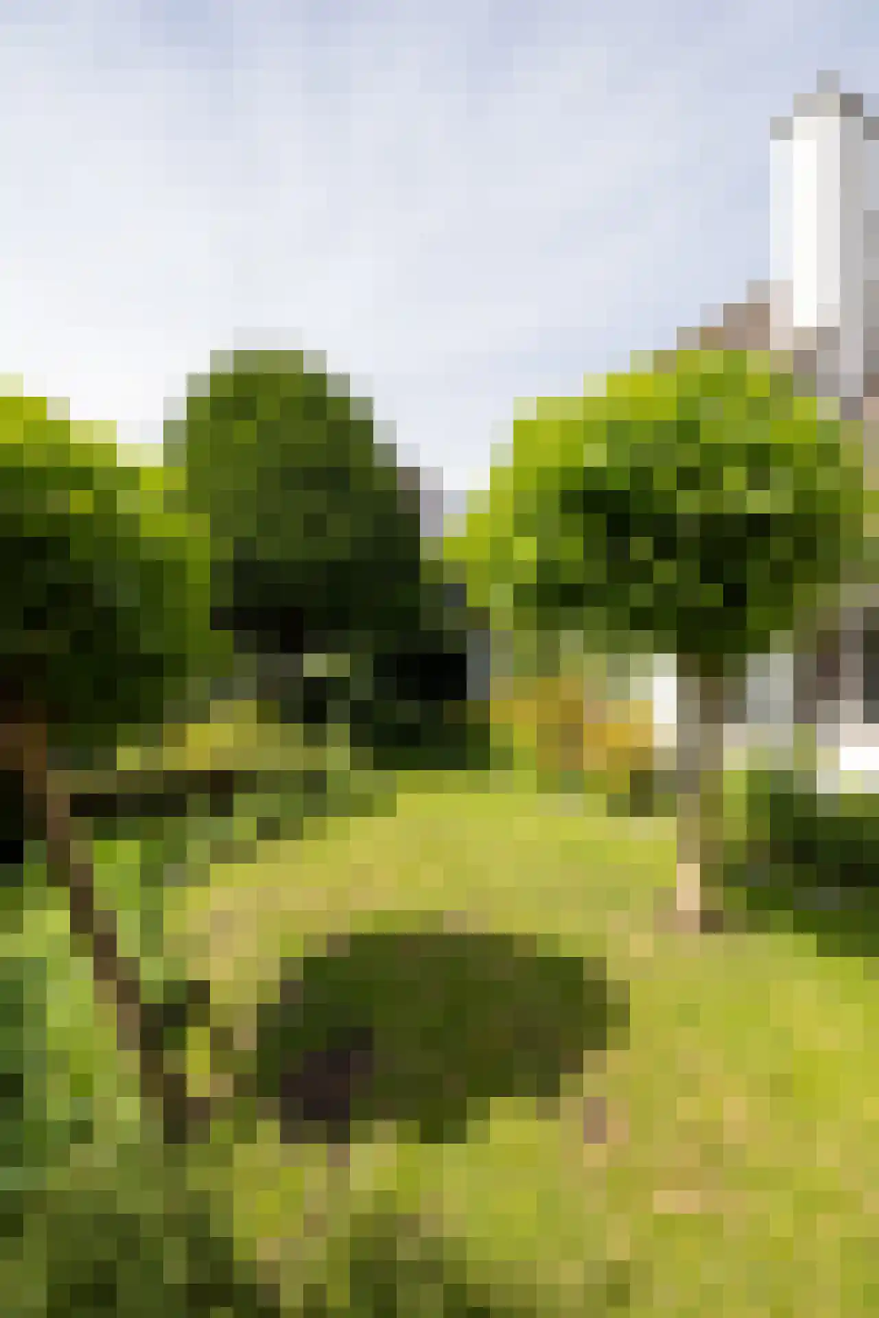Essenweg 26 Rotterdam thumbnail 57