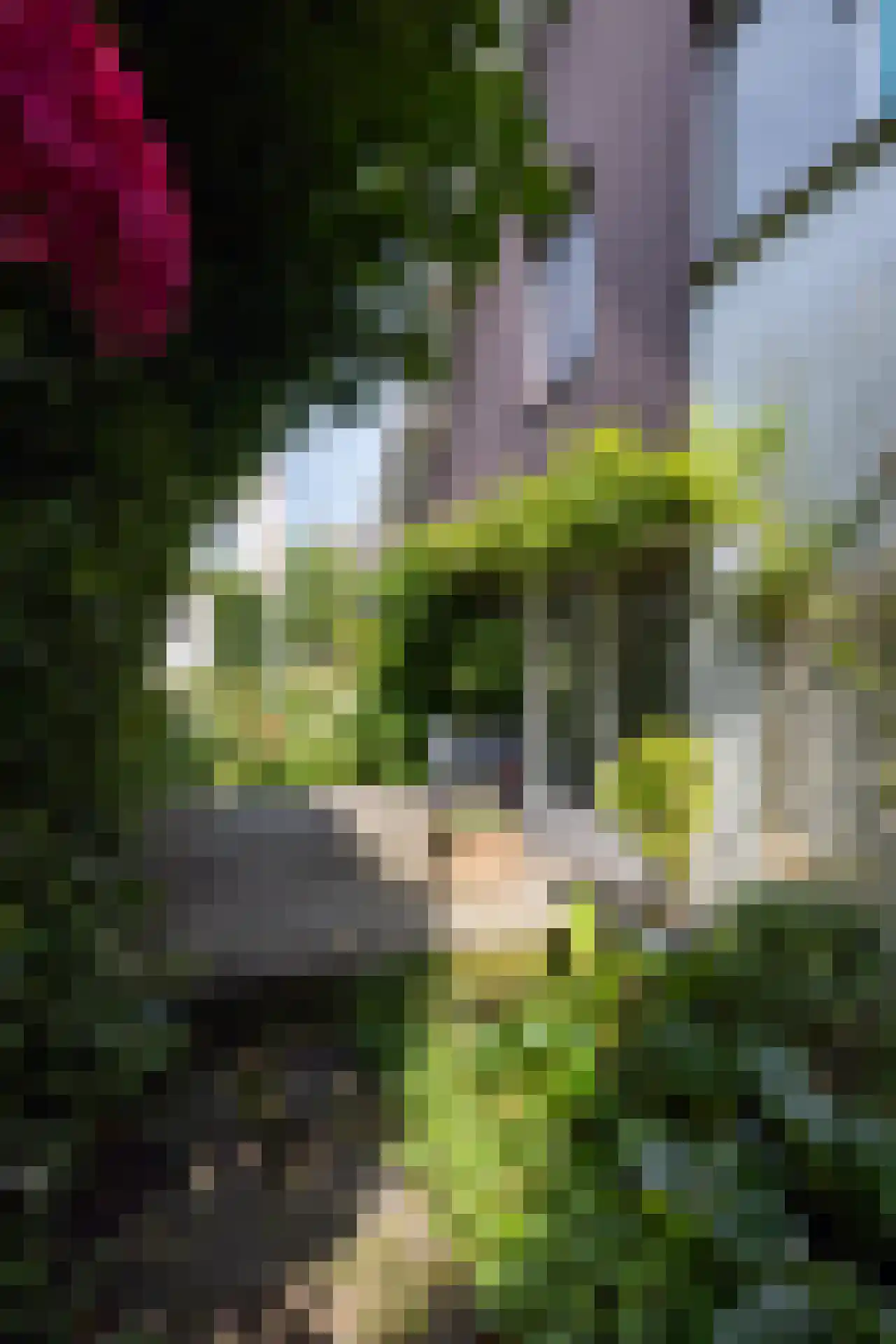 Essenweg 26 Rotterdam thumbnail 62