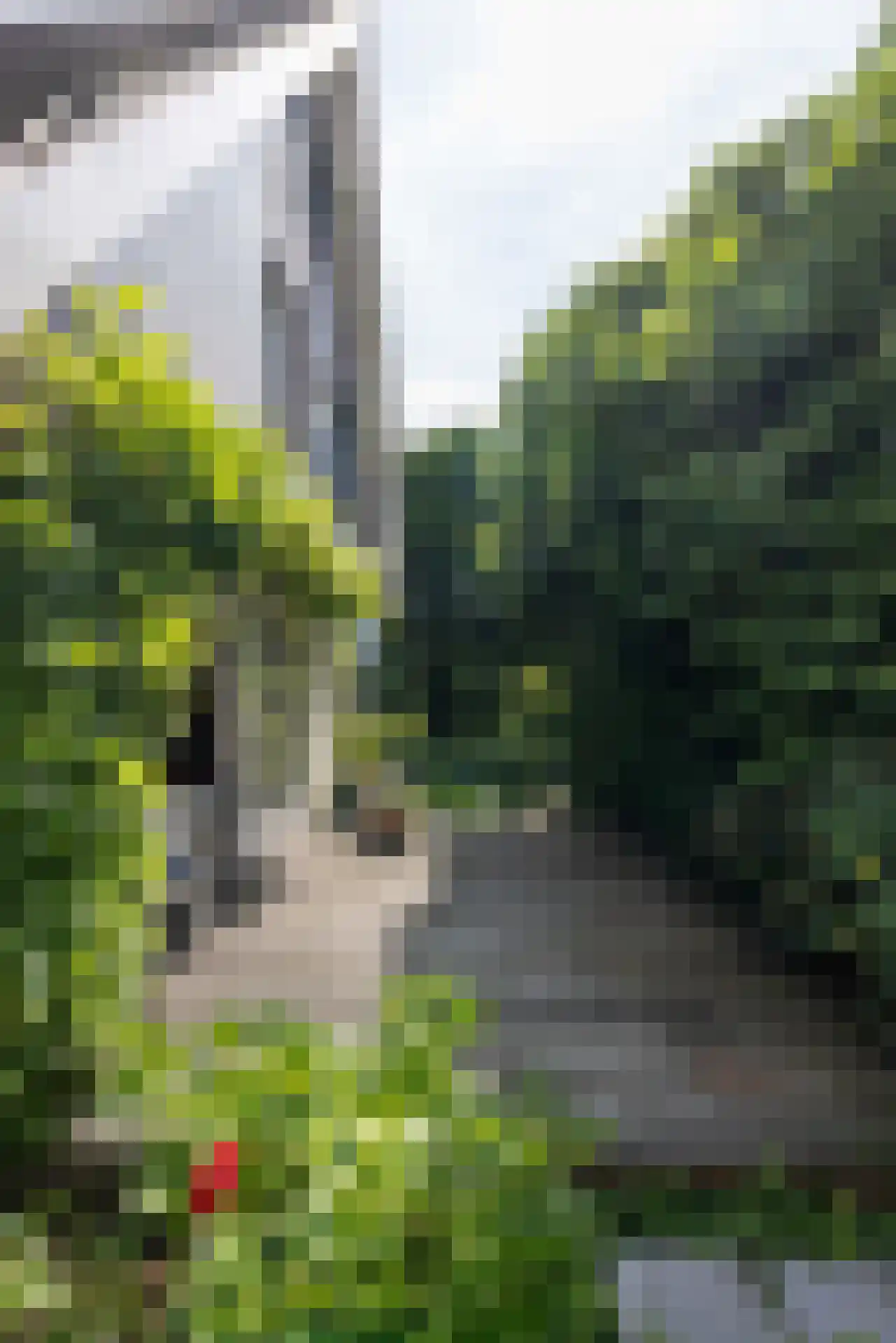 Essenweg 26 Rotterdam thumbnail 63