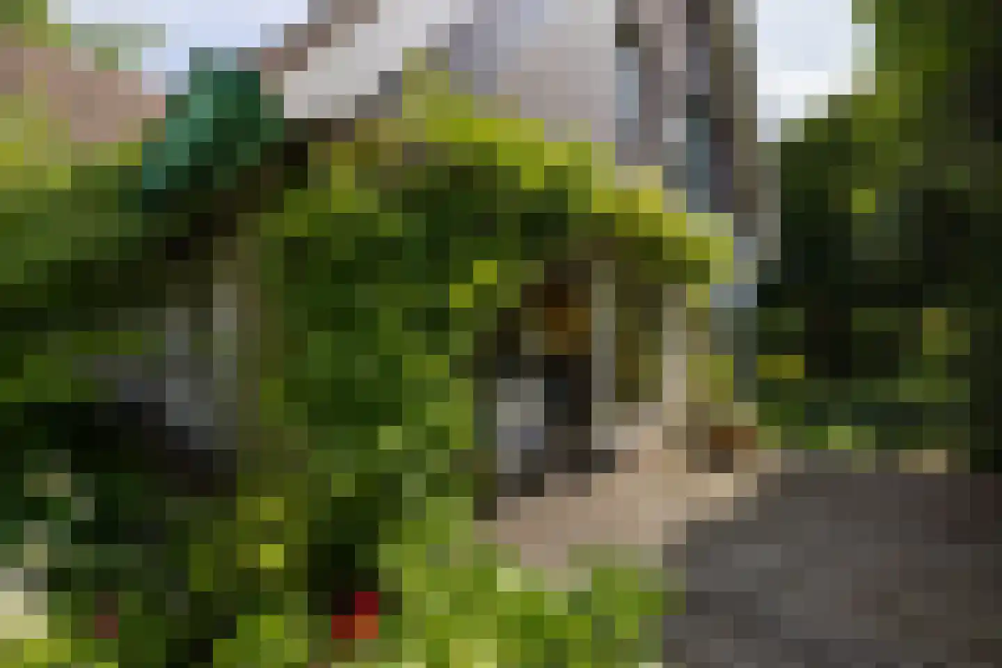 Essenweg 26 Rotterdam thumbnail 65