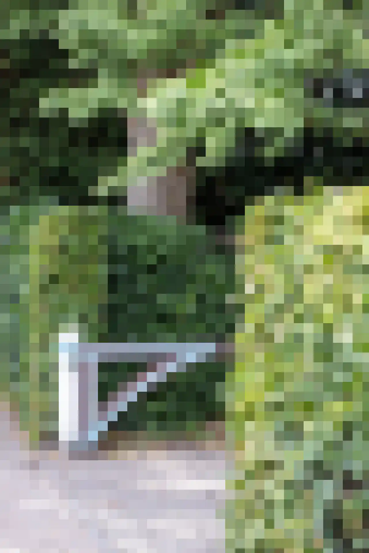 Essenweg 26 Rotterdam thumbnail 66