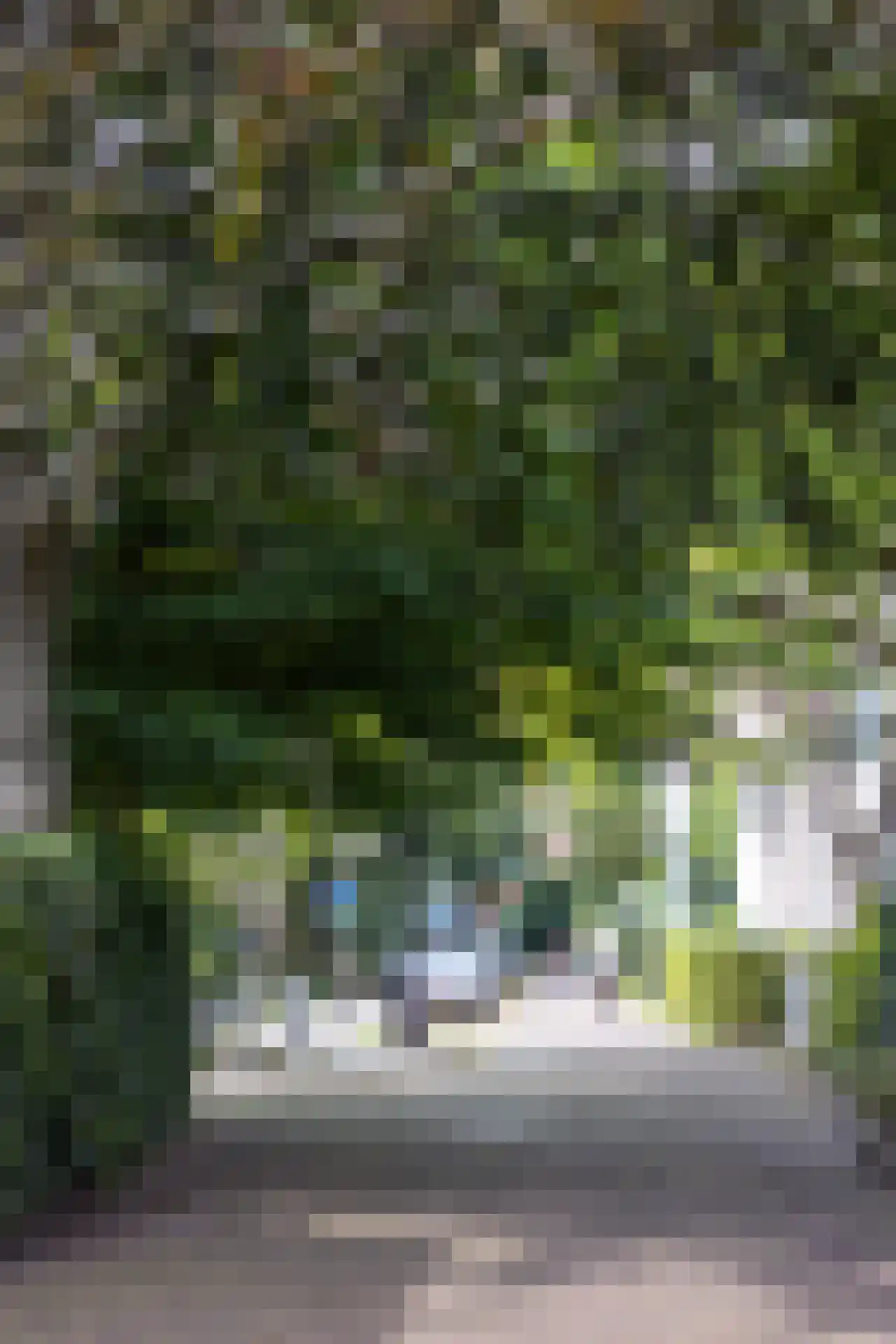 Essenweg 26 Rotterdam thumbnail 67