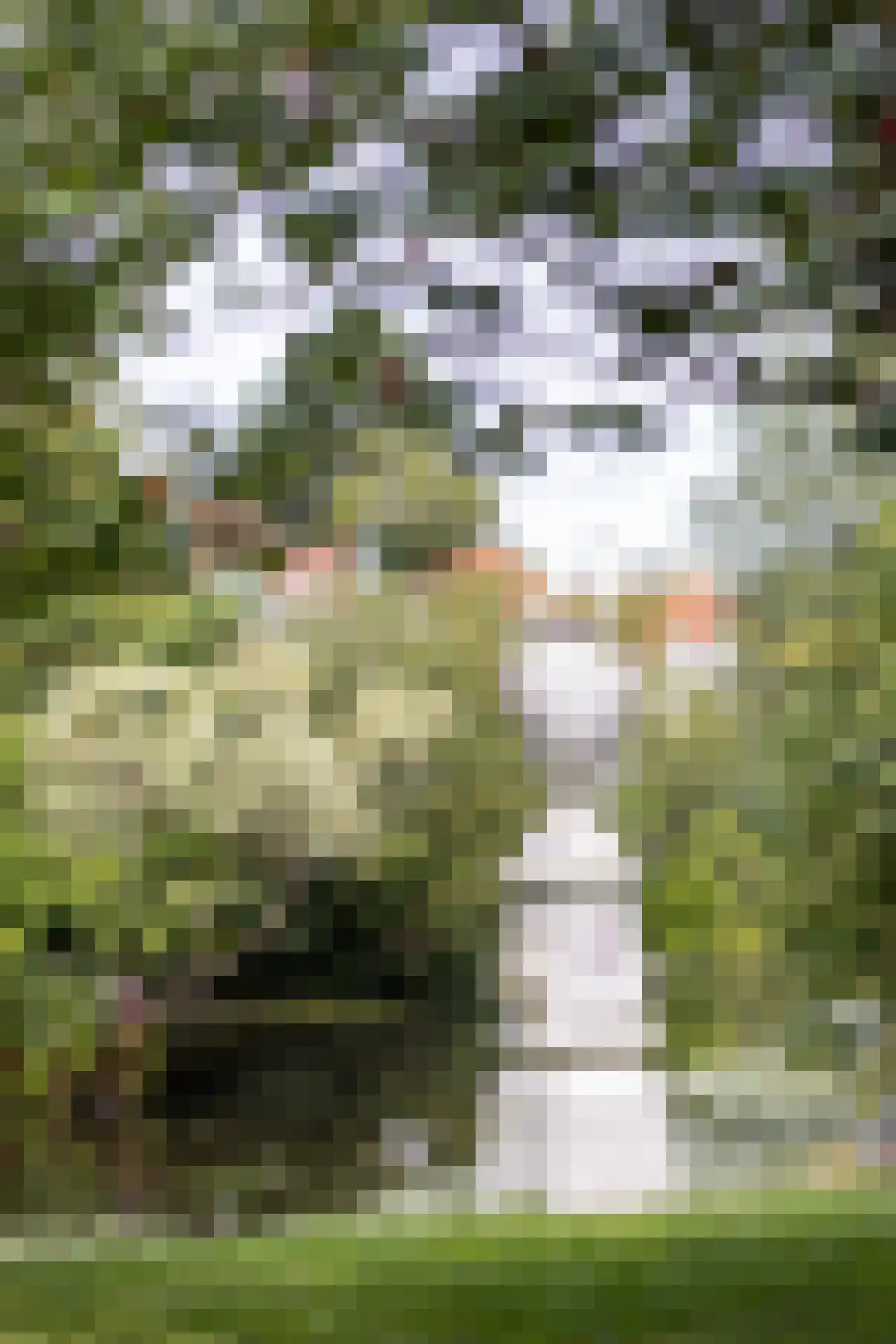 Essenweg 26 Rotterdam thumbnail 68