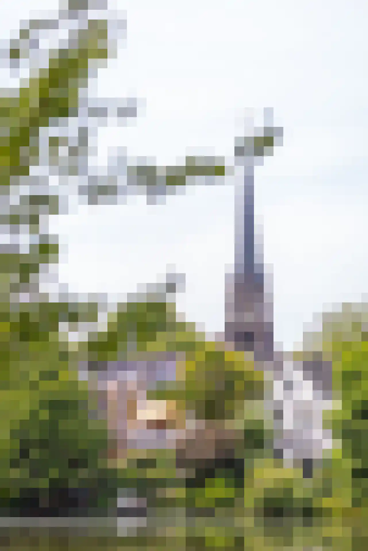 Essenweg 26 Rotterdam thumbnail 69