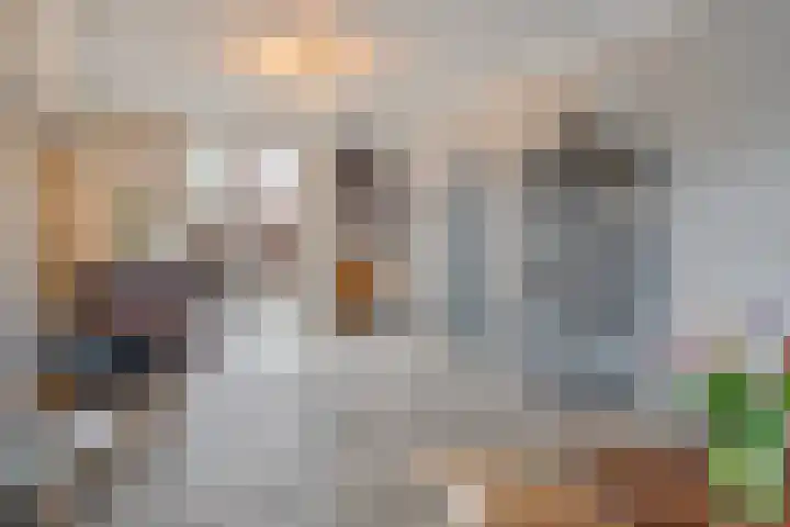 Esserstraat 40 Breda thumbnail 6