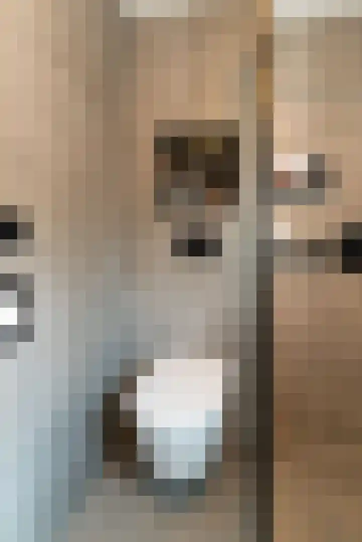 Esstraat 37 Rijssen thumbnail 22