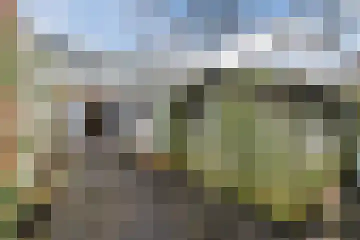 Esstraat 38 Assen thumbnail 38