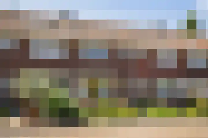 Esstraat 49 Assen thumbnail 28