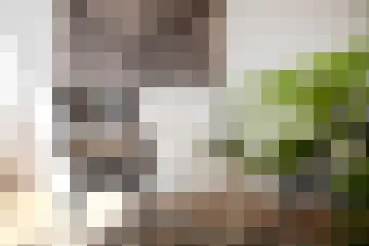 Esstraat 49 Assen thumbnail 35