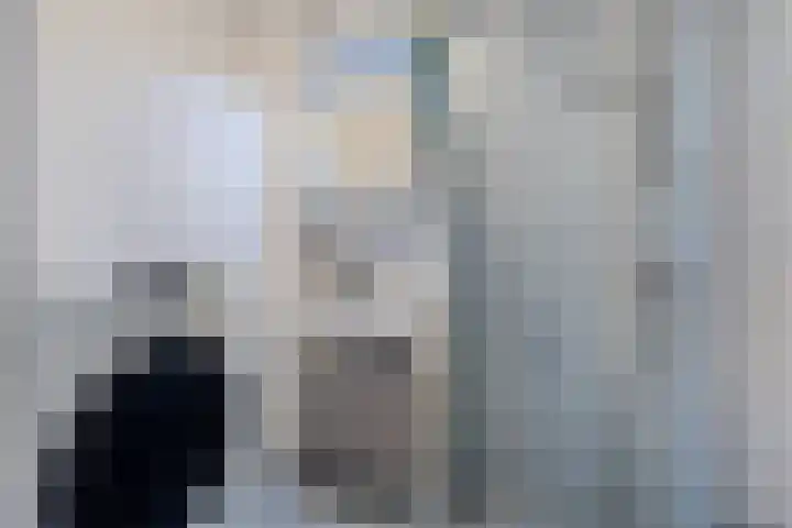 Estafette 30 Assendelft thumbnail 17