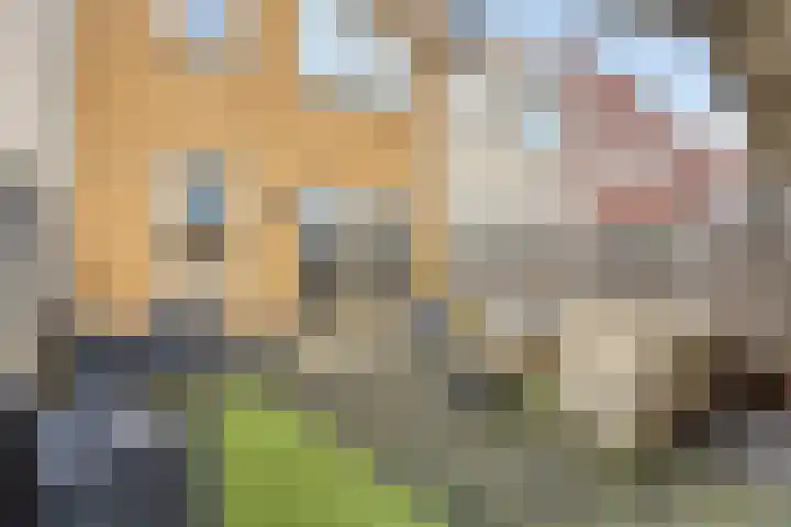 Estafette 30 Assendelft thumbnail 23