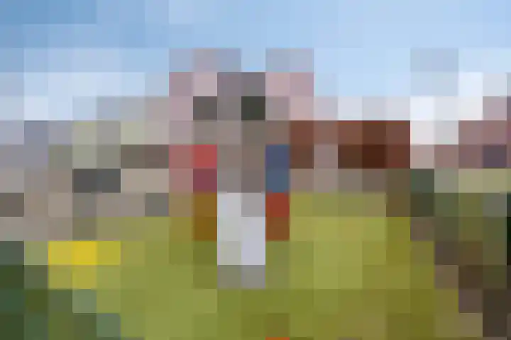 Estafette 30 Assendelft thumbnail 25
