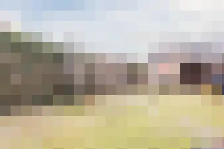 Estersveldlaan 59 Grave thumbnail 20