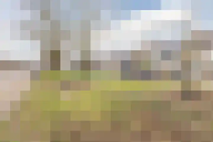 Estersveldlaan 59 Grave thumbnail 25