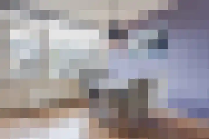 Estersveldlaan 59 Grave thumbnail 6