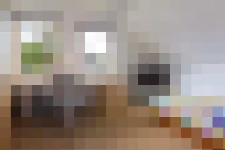 Logo Esther van Dijk Makelaardij