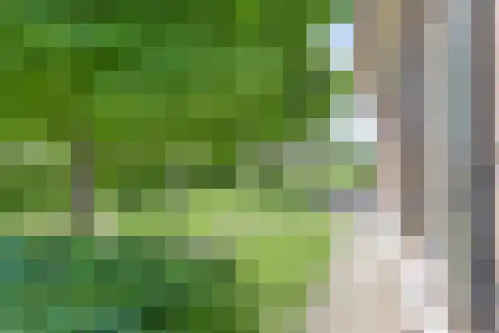 Esveldsdijk 4 Harfsen thumbnail 11