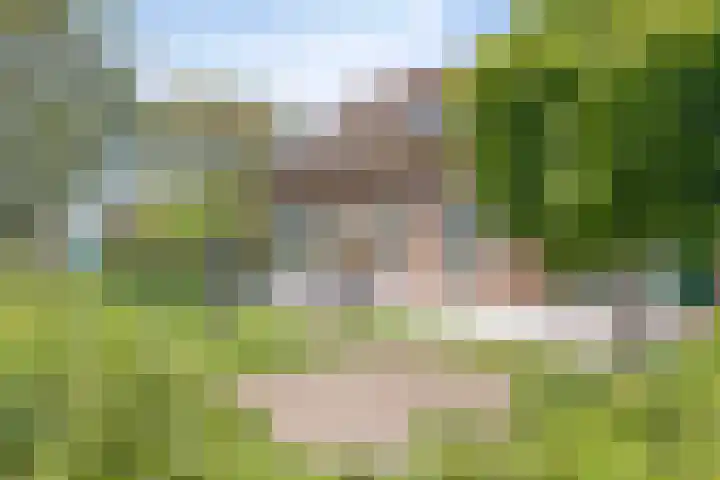 Esveldsdijk 4 Harfsen thumbnail 12