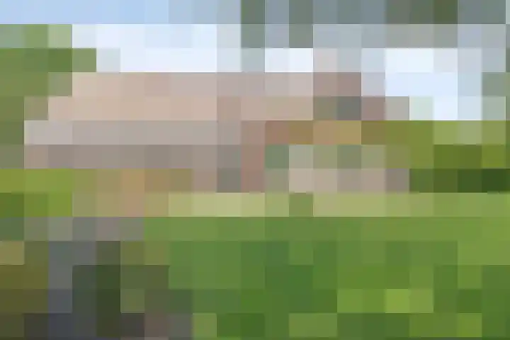 Esveldsdijk 4 Harfsen thumbnail 13