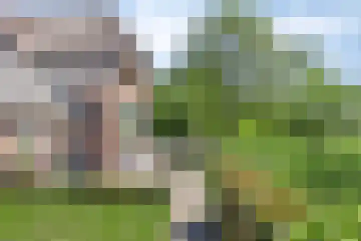 Esveldsdijk 4 Harfsen thumbnail 15