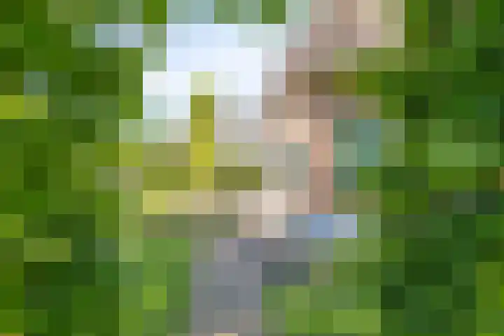 Esveldsdijk 4 Harfsen thumbnail 16