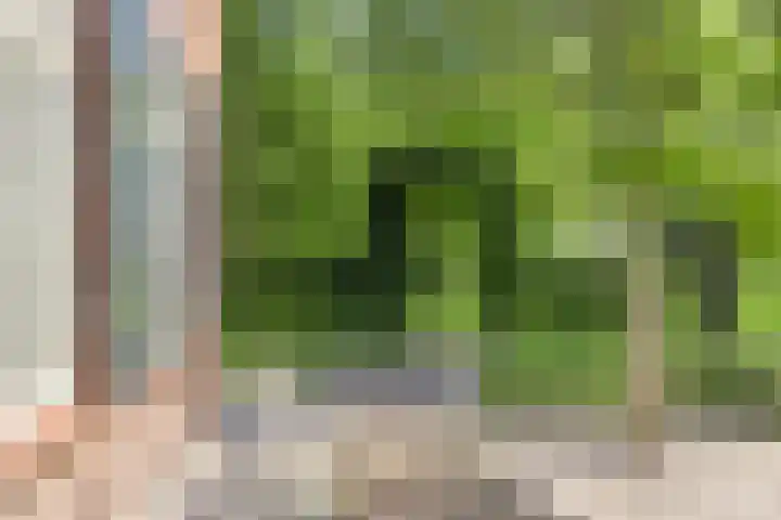 Esveldsdijk 4 Harfsen thumbnail 17