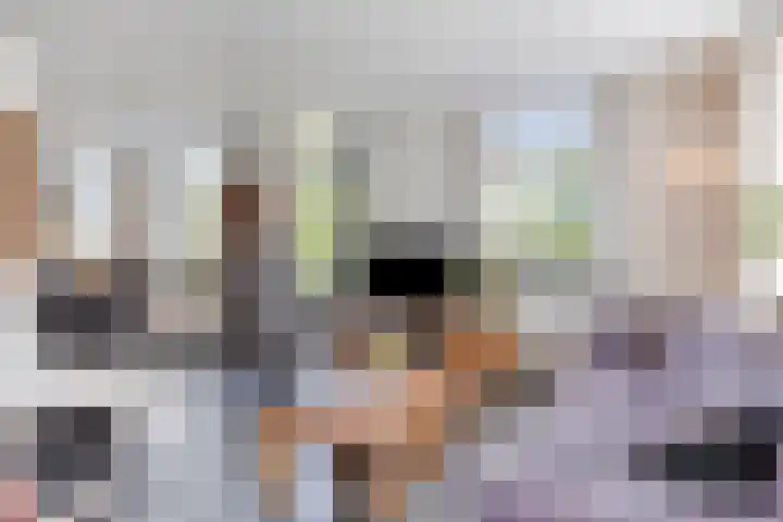 Esveldsdijk 4 Harfsen thumbnail 21