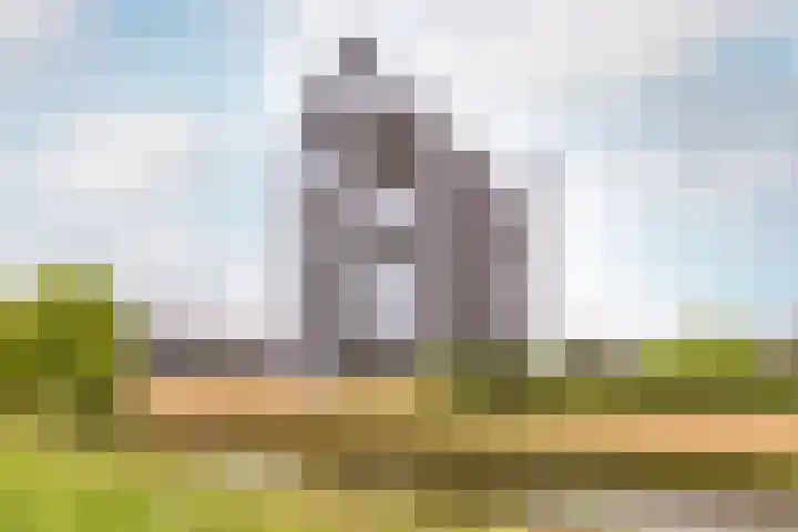 Esveldsdijk 4 Harfsen thumbnail 23